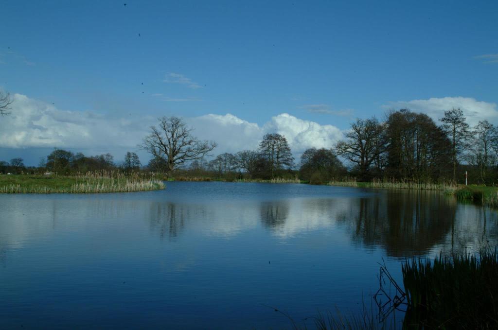 Netley Hall Dorrington Екстер'єр фото